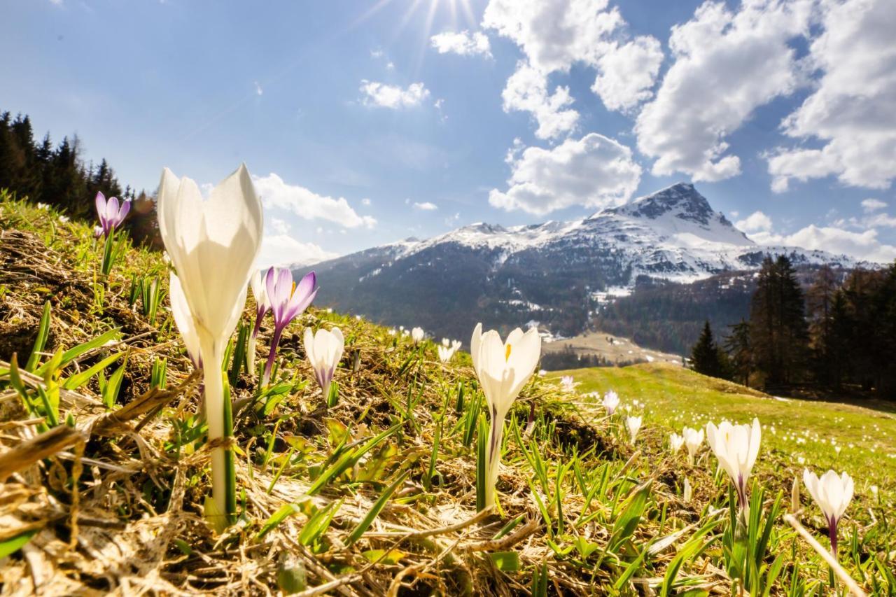 Apart Heimatliebe Nauders Luaran gambar