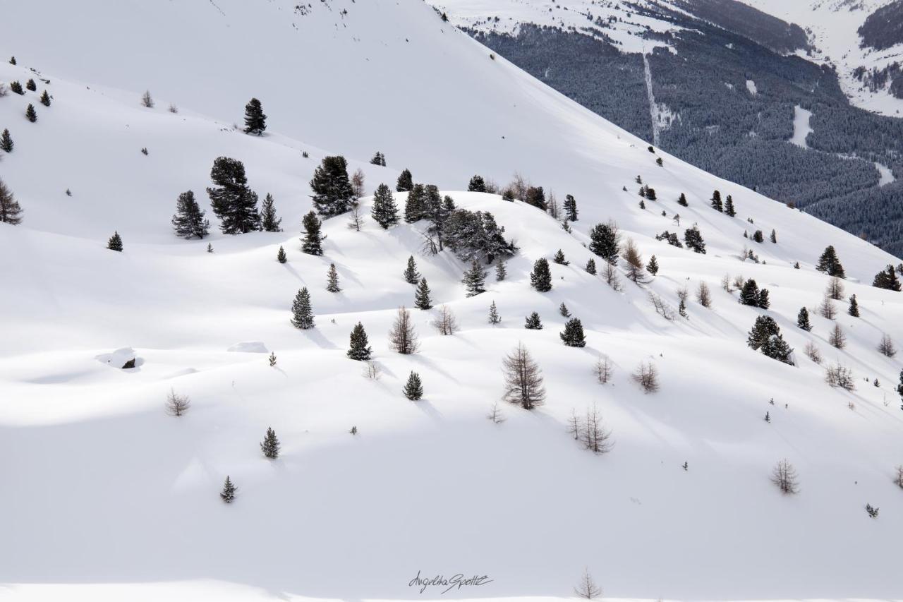 Apart Heimatliebe Nauders Luaran gambar